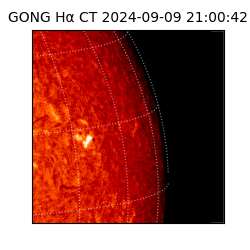 gong - 2024-09-09T21:00:42