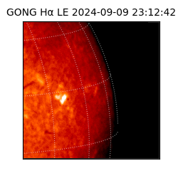 gong - 2024-09-09T23:12:42