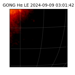 gong - 2024-09-09T03:01:42