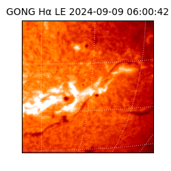 gong - 2024-09-09T06:00:42