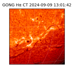 gong - 2024-09-09T13:01:42