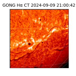 gong - 2024-09-09T21:00:42