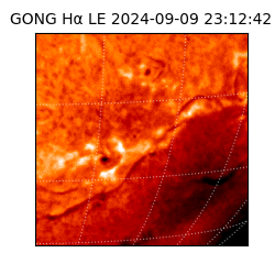 gong - 2024-09-09T23:12:42