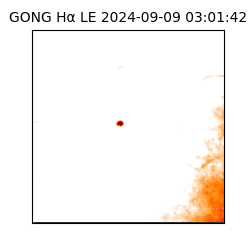 gong - 2024-09-09T03:01:42