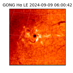 gong - 2024-09-09T06:00:42