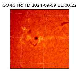 gong - 2024-09-09T11:00:22