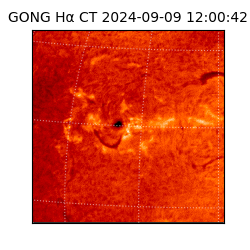 gong - 2024-09-09T12:00:42