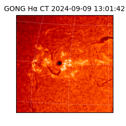 gong - 2024-09-09T13:01:42