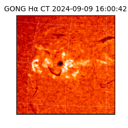 gong - 2024-09-09T16:00:42