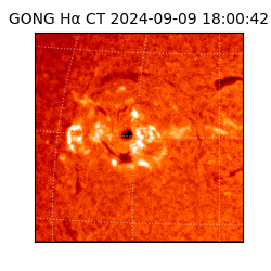 gong - 2024-09-09T18:00:42