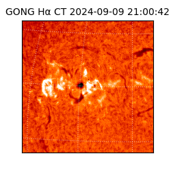 gong - 2024-09-09T21:00:42