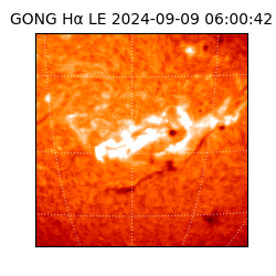 gong - 2024-09-09T06:00:42