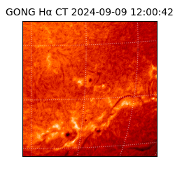 gong - 2024-09-09T12:00:42