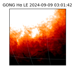 gong - 2024-09-09T03:01:42