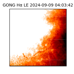 gong - 2024-09-09T04:03:42