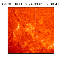 gong - 2024-09-09T07:00:42