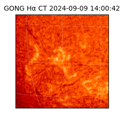 gong - 2024-09-09T14:00:42