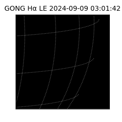 gong - 2024-09-09T03:01:42