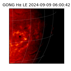 gong - 2024-09-09T06:00:42