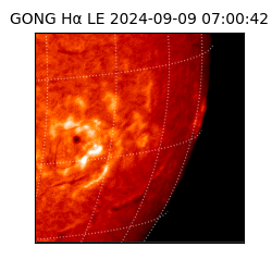 gong - 2024-09-09T07:00:42