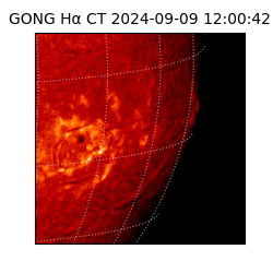 gong - 2024-09-09T12:00:42