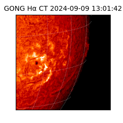 gong - 2024-09-09T13:01:42
