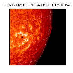 gong - 2024-09-09T15:00:42