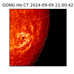 gong - 2024-09-09T21:00:42