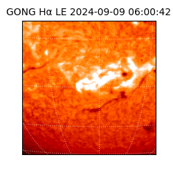 gong - 2024-09-09T06:00:42