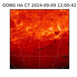 gong - 2024-09-09T12:00:42