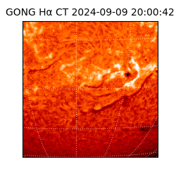 gong - 2024-09-09T20:00:42