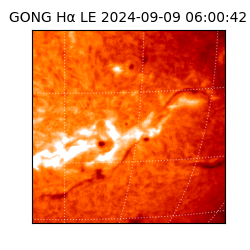 gong - 2024-09-09T06:00:42