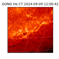 gong - 2024-09-09T12:00:42