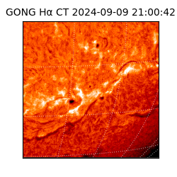 gong - 2024-09-09T21:00:42