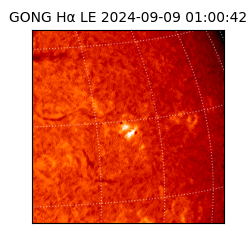 gong - 2024-09-09T01:00:42