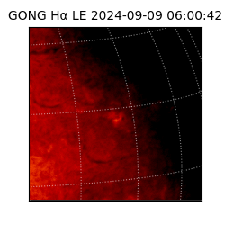 gong - 2024-09-09T06:00:42