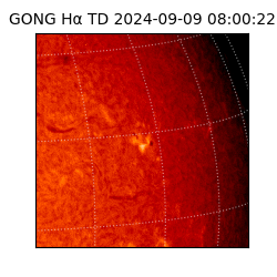 gong - 2024-09-09T08:00:22
