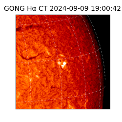 gong - 2024-09-09T19:00:42