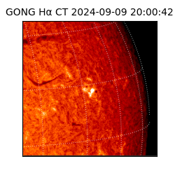 gong - 2024-09-09T20:00:42