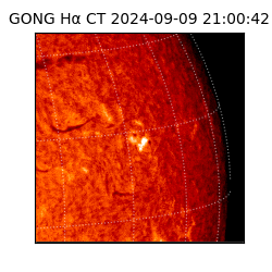 gong - 2024-09-09T21:00:42