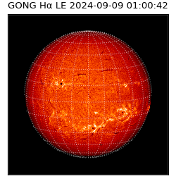 gong - 2024-09-09T01:00:42