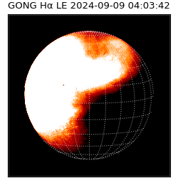 gong - 2024-09-09T04:03:42