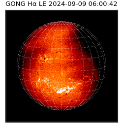 gong - 2024-09-09T06:00:42