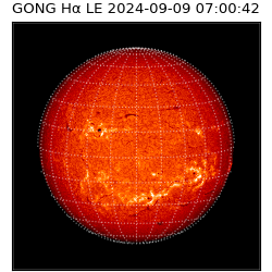 gong - 2024-09-09T07:00:42