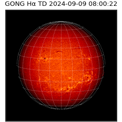 gong - 2024-09-09T08:00:22
