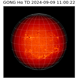 gong - 2024-09-09T11:00:22