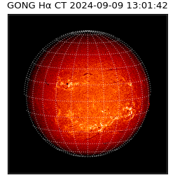 gong - 2024-09-09T13:01:42
