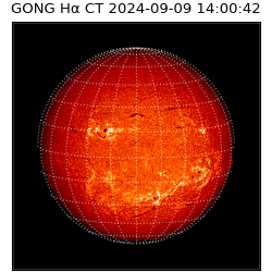 gong - 2024-09-09T14:00:42