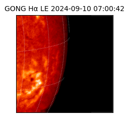 gong - 2024-09-10T07:00:42