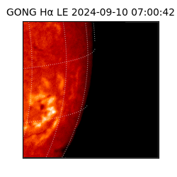 gong - 2024-09-10T07:00:42